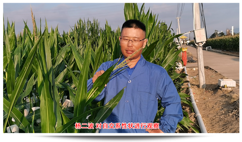 1689746421606458.png 圖片6.png